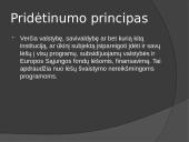 Pristatymas apie vietos savivaldą 13 puslapis