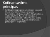 Pristatymas apie vietos savivaldą 14 puslapis