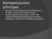 Pristatymas apie vietos savivaldą 15 puslapis