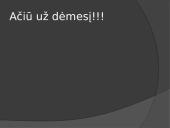 Pristatymas apie vietos savivaldą 16 puslapis
