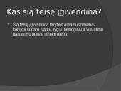 Pristatymas apie vietos savivaldą 3 puslapis