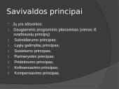 Pristatymas apie vietos savivaldą 7 puslapis