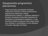 Pristatymas apie vietos savivaldą 8 puslapis