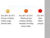 KAIP APSAUGOTI SAVO SVEIKATĄ KARŠČIŲ ATVEJAIS  4 puslapis