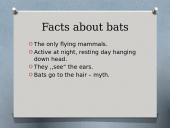 Bats (skaidrės apie šikšnosparnius) 11 puslapis