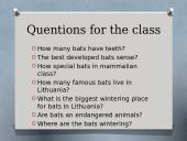 Bats (skaidrės apie šikšnosparnius) 12 puslapis