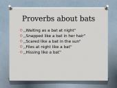 Bats (skaidrės apie šikšnosparnius) 13 puslapis