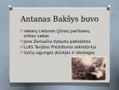 Lietuvos partizanai "ANTANAS BAKŠYS - GERMANTAS, KLAJŪNAS, SENIS" 3 puslapis