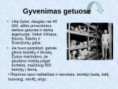 Lietuvos žydų tragedija 11 puslapis