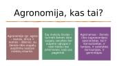 Žemės ūkio šakų profesijos pristatymas agronomija 3 puslapis