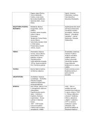 Lietuva tarpukariu skirtingose srityse 3 puslapis