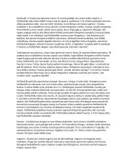 Johanas Volfgangas Gėtė „Faustas“. Aprašymas. 2 puslapis