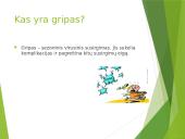 Skaidrės apie gripą 2 puslapis