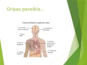 Skaidrės apie gripą 5 puslapis