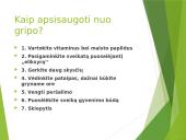 Skaidrės apie gripą 8 puslapis