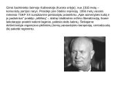 Skaidrės apie Brežnevą. 2 puslapis