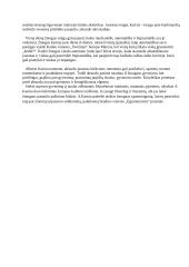 Absurdas kaip kasdienybes ritmas ir kaip atsitiktinumu seka albertas kamiu. 2 puslapis