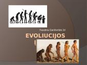 EVOLIUCIJA Skaidrės