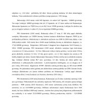 Besivystanti šalis Baltarusija, išsivysčiusi Lenkija - lyginamoji analizė 3 puslapis