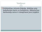 Projektas - Įmonės kūrimas 9 puslapis