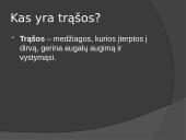 Skaidrės apie trąšas 3 puslapis