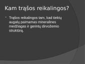 Skaidrės apie trąšas 4 puslapis