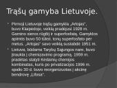 Skaidrės apie trąšas 9 puslapis