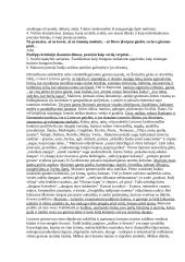 Maironio poezija liudija aukštos patirties galimybę ir jos tikrumą. 3 puslapis