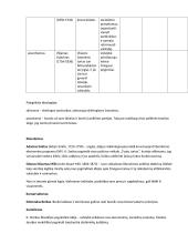 Politinės srovės ir  teorijos (ideologijos) 2 puslapis