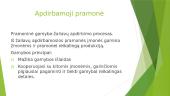 Pramoninė gamyba (Pristatymas) 4 puslapis