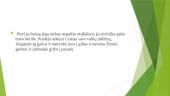Gaja ir Uranas (pristatymas) 9 puslapis