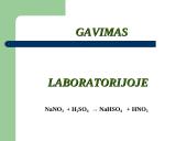 PRISTATYMAS APIE AZOTO rūgšti 12 puslapis