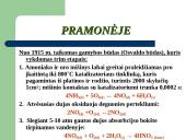 PRISTATYMAS APIE AZOTO rūgšti 13 puslapis