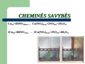 PRISTATYMAS APIE AZOTO rūgšti 8 puslapis