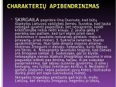 Vinco Krėvės-Mickevičiaus drama „Skirgaila“ pristatymas 11 puslapis