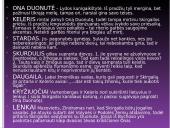 Vinco Krėvės-Mickevičiaus drama „Skirgaila“ pristatymas 12 puslapis