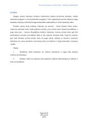 Duomenų apsauga, autorinės teisės 4 puslapis