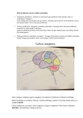 Narkotikai ir galvos smegenys 2 puslapis