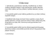 Visiškas atsoindys 2 puslapis