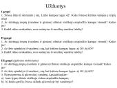 Visiškas atsoindys 11 puslapis