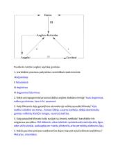 Oro tarša užduotys