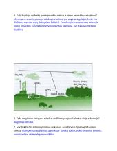 Oro tarša užduotys 2 puslapis