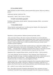 „Balta drobulė“ kūrinio analizavimas 11 puslapis