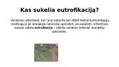 Skaidrės apie eutrofikaciją 3 puslapis