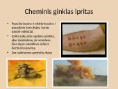 1917m. Vakarų fronto pristatymas 5 puslapis