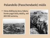1917m. Vakarų fronto pristatymas 6 puslapis