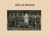 1917m. Vakarų fronto pristatymas 7 puslapis