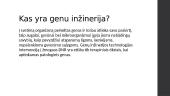 Kas yra genų inžinerija? 3 puslapis