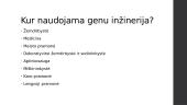 Kas yra genų inžinerija? 4 puslapis