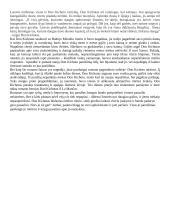 Don Kichoto paveikslas 2 puslapis